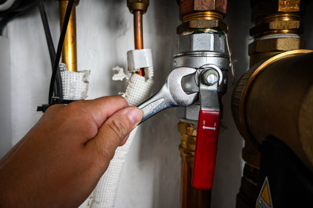 Best Plumbing Inspection Services  in Manito, IL